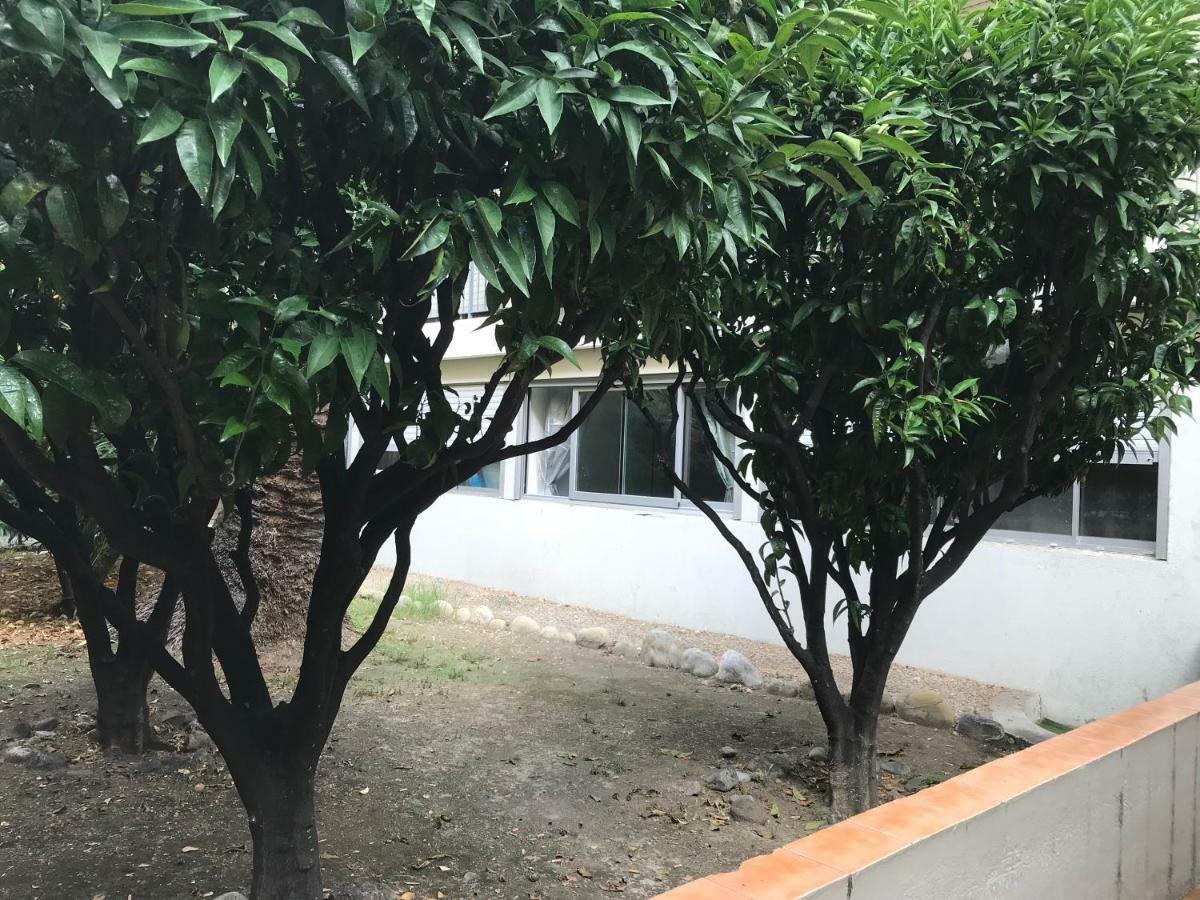 Les Clementines Apartment Nice Luaran gambar